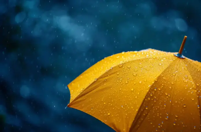 أمطار الخير تعيد الحياة للمغرب… طنجة تتصدر المشهد والفرشة المائية تنتعش