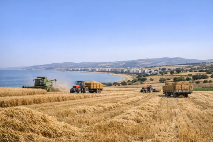 محصول الحبوب بالمغرب في موسم 2025‑2026